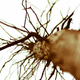 Illustration for article titled A Bog is a Bog